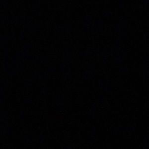 Meet your Posher, Wwendy